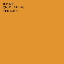#E2952F - Fire Bush Color Image